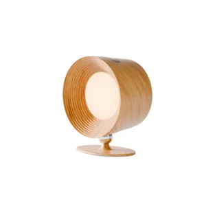 Rechargeable LED Wall Light with Remote Control